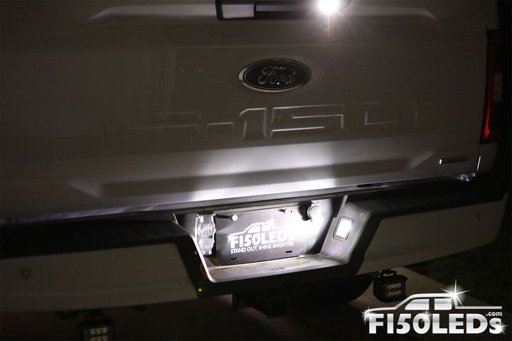 2024 - 2025 F150 License Plate Tag LED Bulbs