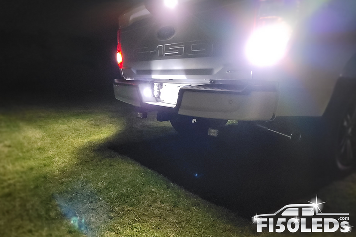 2024 - 2025 F150 License Plate Tag LED Bulbs