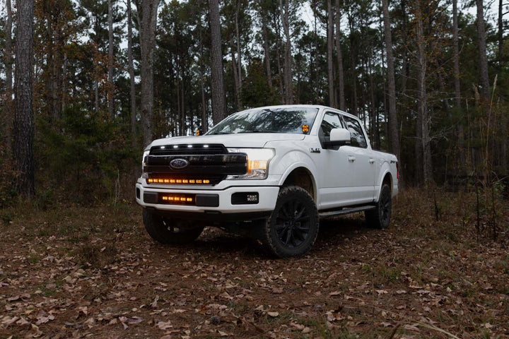 2018 - 2020 F150 PALADIN MKII 20" Curved Lower Intake LED Bar