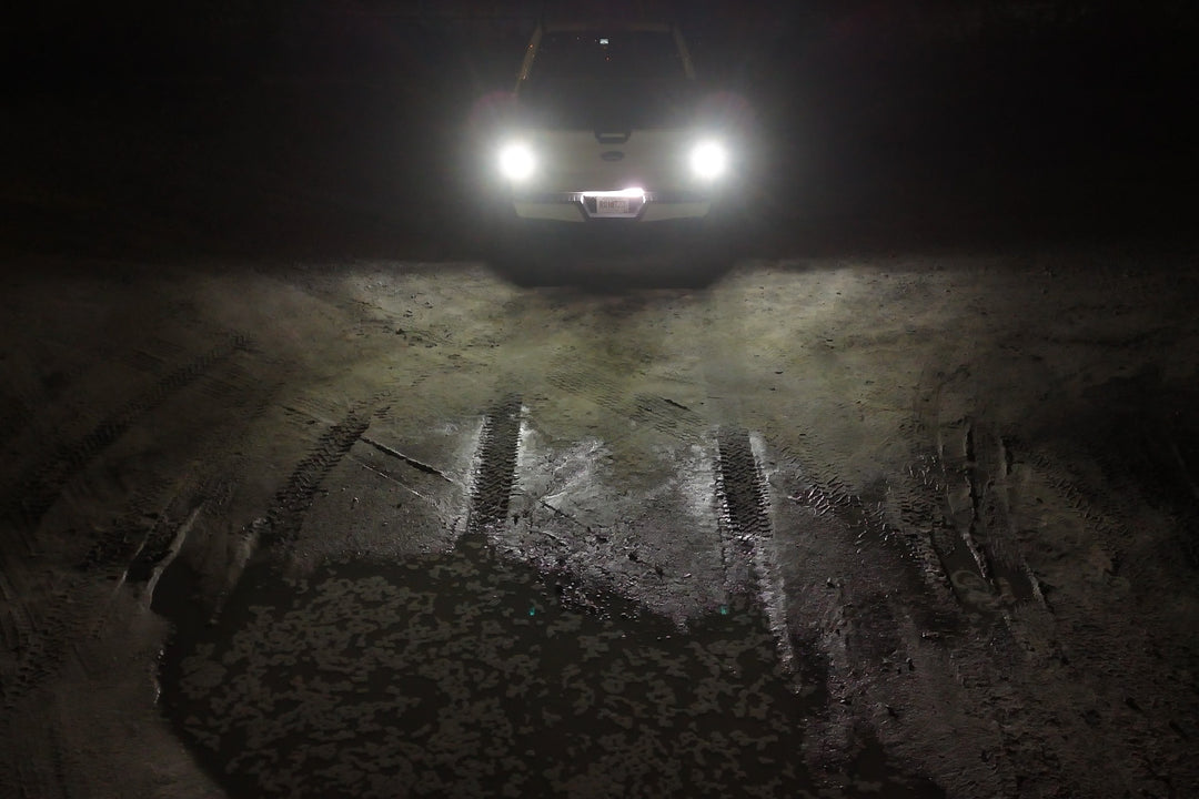 2021 - 2023 F150 High Powered CREE LED Reverse Light Bulbs