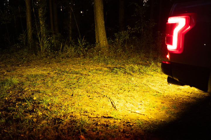 2017 - 2020 RAPTOR MKII SPARTAN SERIES CREE LED REVERSE BAR KIT - F150LEDs.com