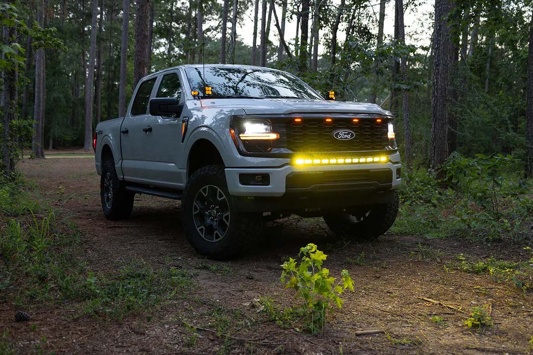 2024 - 2026 F150 PALADIN MKII 42" Curved CREE LED Bumper Bar