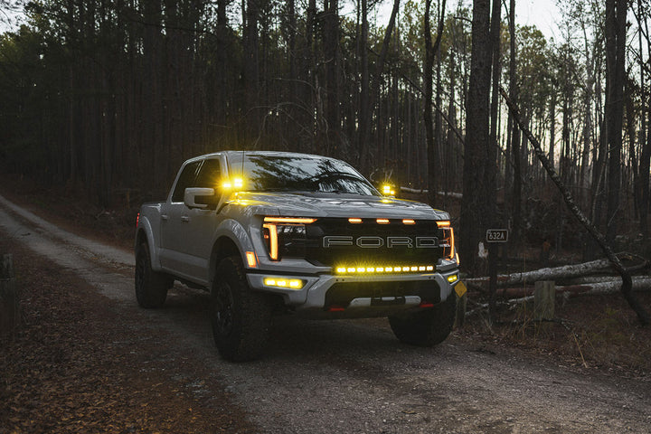 2021 - 2026 F150 Raptor Paladin MKII 42" Curved CREE LED Bumper Bar