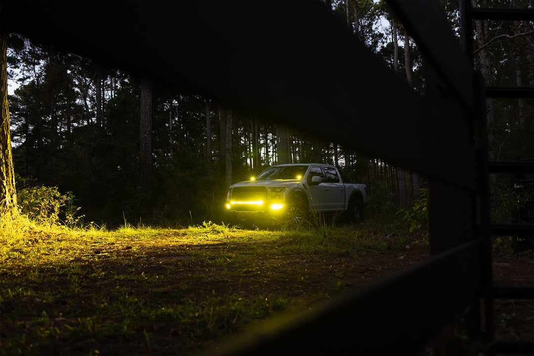 2017 - 2020 F150 Raptor PALADIN MKII 42" Curved CREE LED Bumper Bar