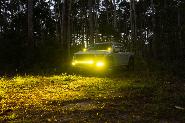 2017 - 2020 F150 Raptor PALADIN MKII 42" Curved CREE LED Bumper Bar