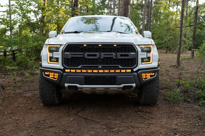 2017 - 2020 F150 Raptor PALADIN MKII 42" Curved CREE LED Bumper Bar