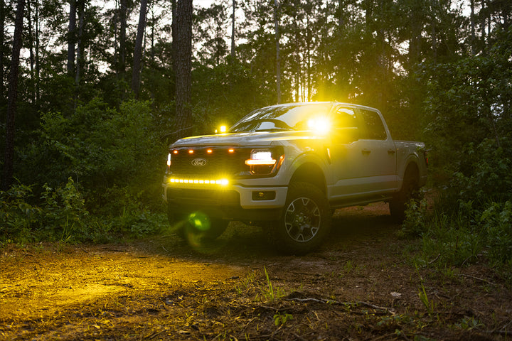 2024 - 2026 F150 PALADIN MKII 42" Curved CREE LED Bumper Bar