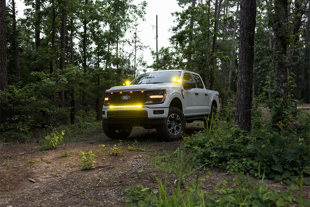 2024 - 2026 F150 PALADIN MKII 42" Curved CREE LED Bumper Bar