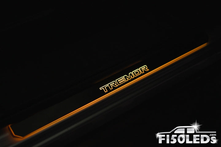 2024 F150 RGB LED Door Sill Light Kit