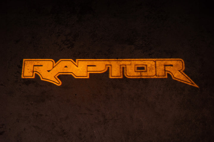 2017 - 2020 F150 RAPTOR LED MIRROR LOGO PUDDLE LIGHTS