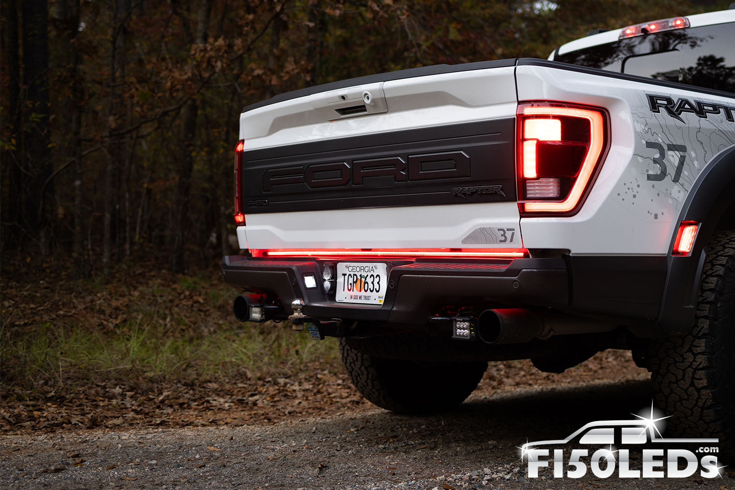 Ford Tailgate Raptor View 2017 - 2020 F150 Raptor Sentinel CREE LED Tailgate Bar