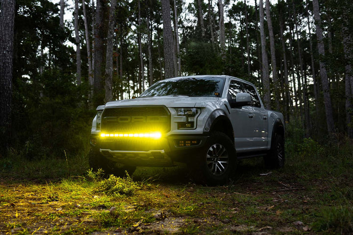 2017 - 2020 F150 Raptor PALADIN MKII 42" Curved CREE LED Bumper Bar