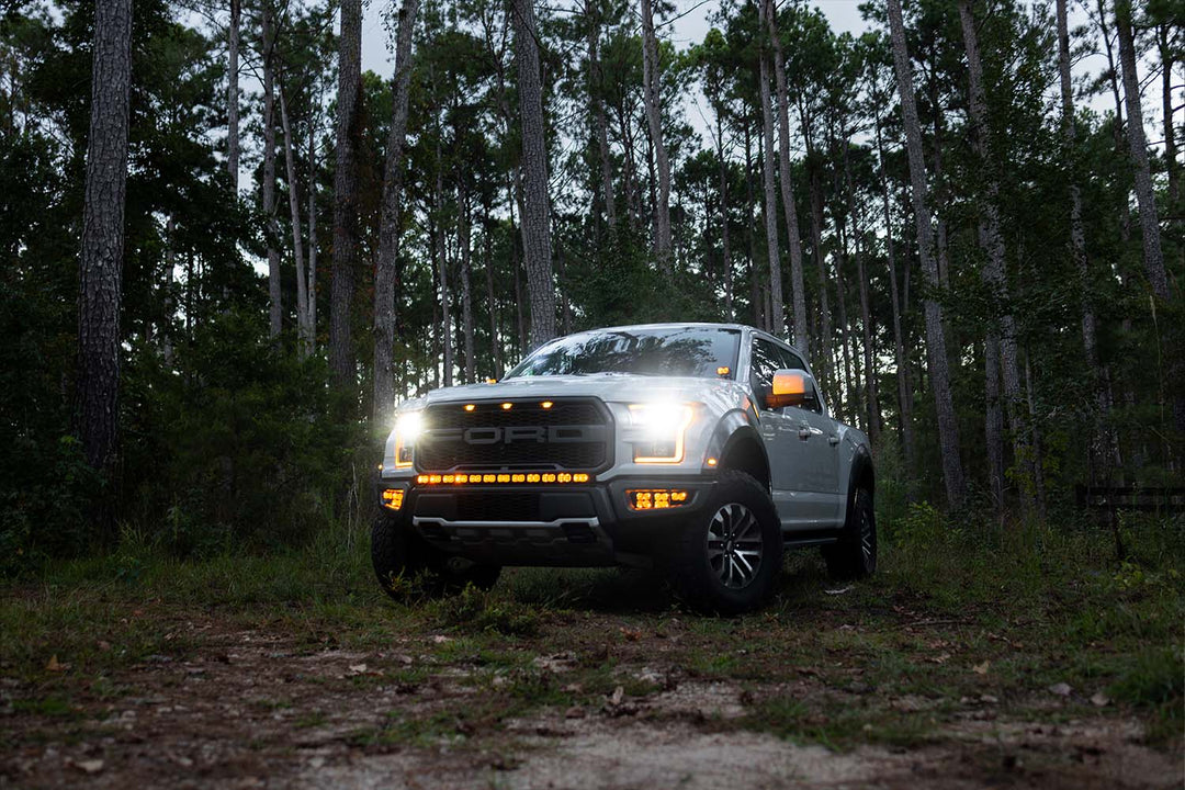 2017 - 2020 F150 Raptor PALADIN MKII 42" Curved CREE LED Bumper Bar