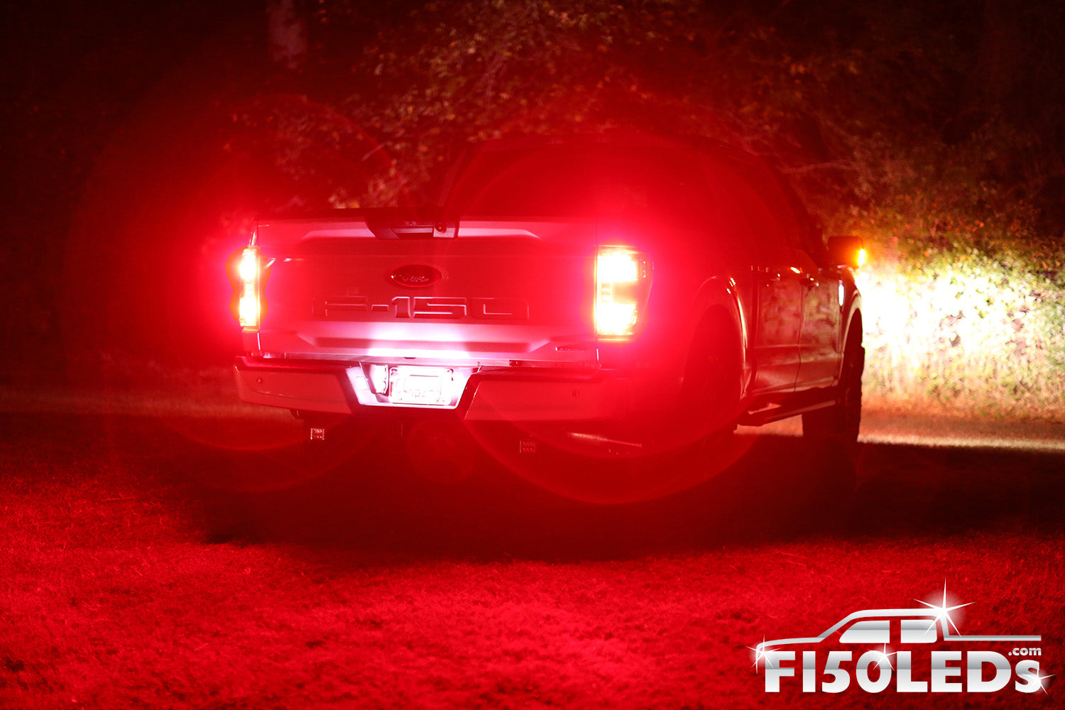 2021 2023 F150 CREE TAIL & BLINKER LED BULBS